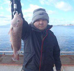 コブダイ 	40cm 	1尾